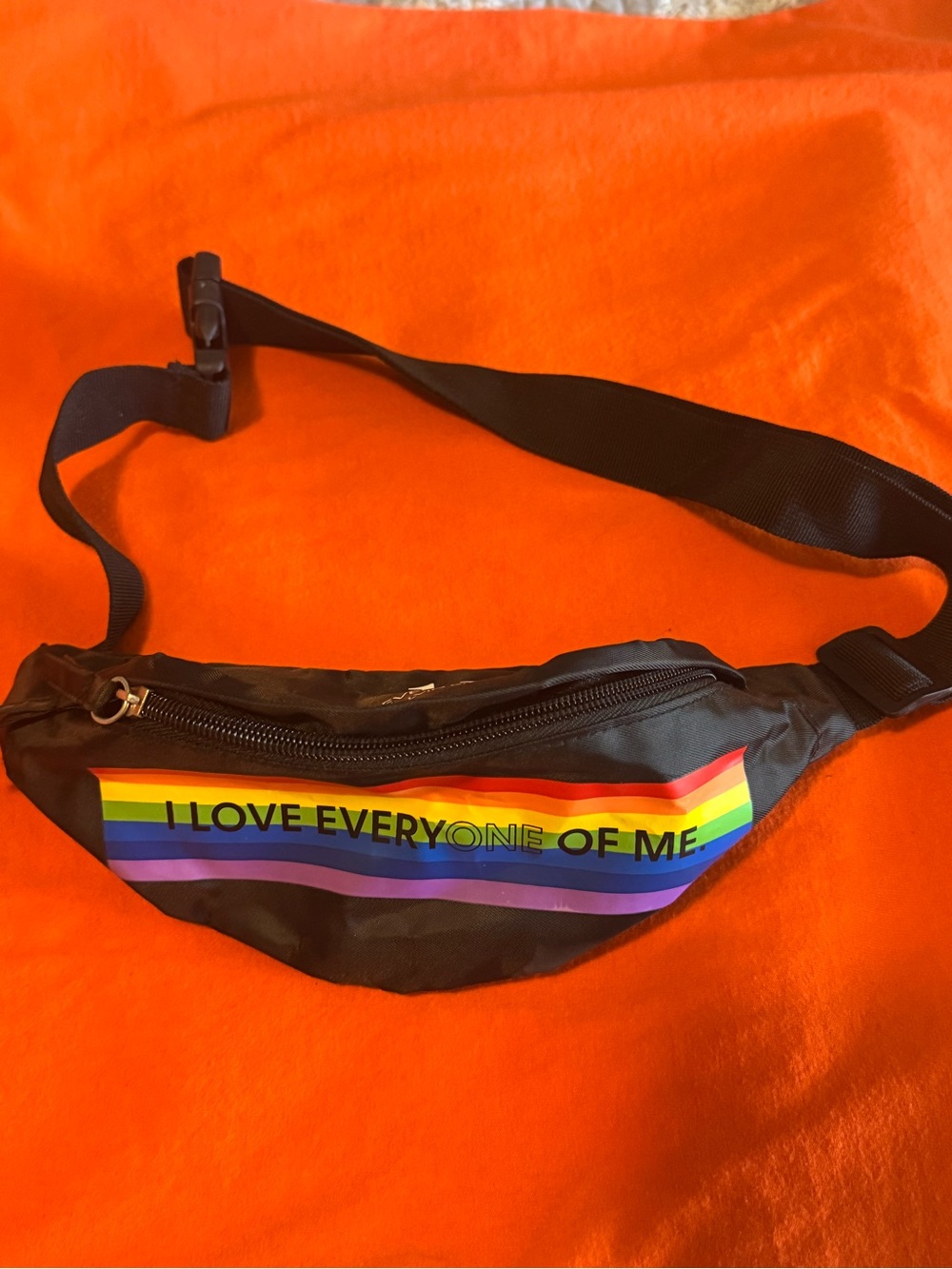 Calvin Klein Black Belt Bag with Rainbow Stripe